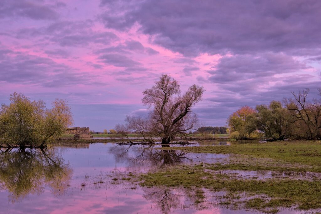 sunset, flood, trees, high water, flooding, river, nature, water, reflection, climate change, dusk, flood, flood, flood, flood, flooding, flooding, climate change, climate change, climate change, climate change, climate change